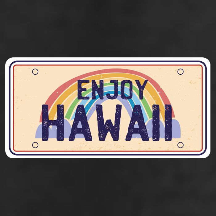 Enjoy Hawaii Car Plate Adult Drive Performance Visor