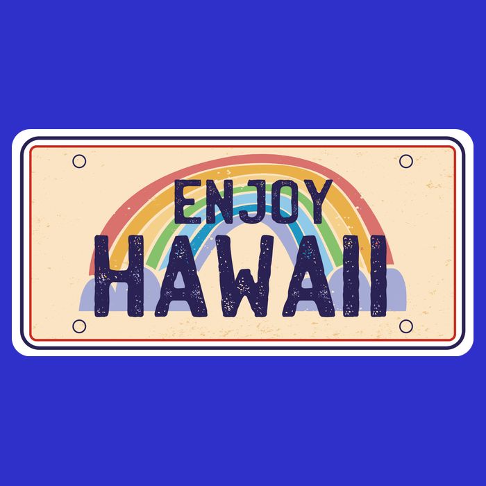Enjoy Hawaii Car Plate Premium T-Shirt