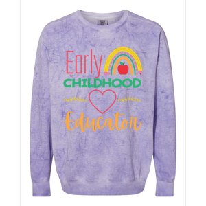 Early Hood Educator Preschool Teacher Funny Gift Colorblast Crewneck Sweatshirt