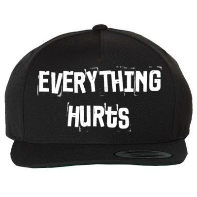 Everything Hurts Fitness Weightlifting Funny Gym Workout Wool Snapback Cap