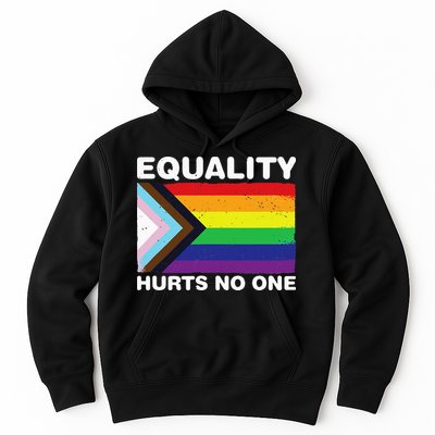 Equality Hurts No One Inclusive Progress Pride Flag Hoodie
