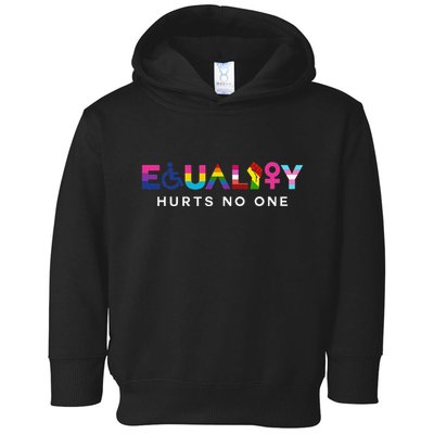 Equality Hurts No One LGBT Black Disabled  Right Kind Toddler Hoodie