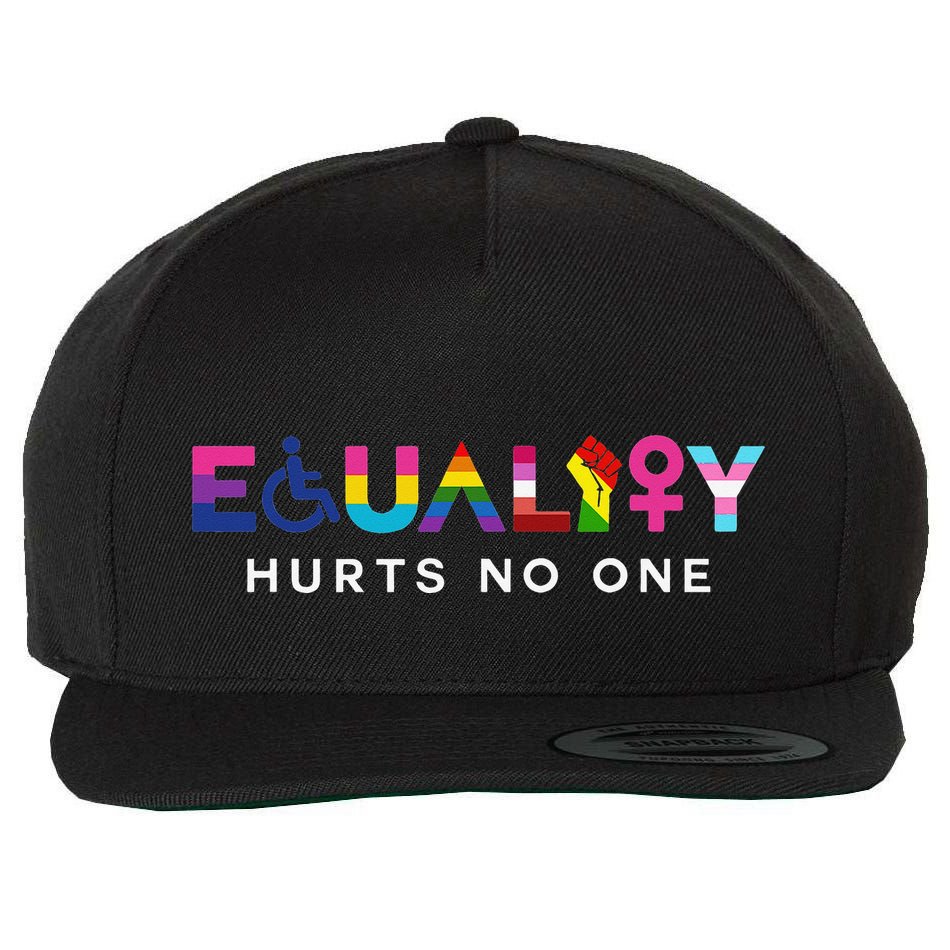 Equality Hurts No One LGBT Black Disabled  Right Kind Wool Snapback Cap