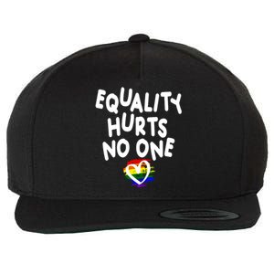 Equality Hurts No One Wool Snapback Cap