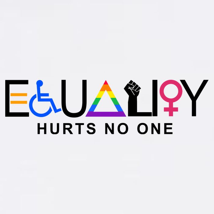 Equality Hurts No One LGBT Ladies Long Sleeve Shirt
