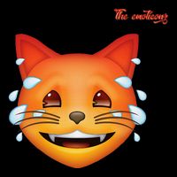 Emoji Heated Sweating Cat Face Drawstring Bag