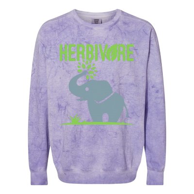 Elephant Herbivore Vegan Vegetarian Cute Colorblast Crewneck Sweatshirt