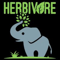 Elephant Herbivore Vegan Vegetarian Cute Visor