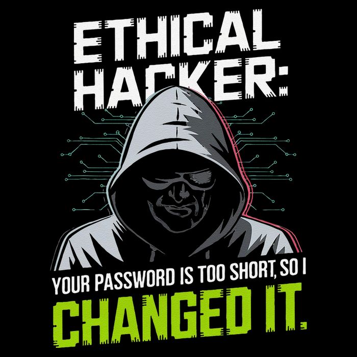 Ethical Hacker Your Password Is Too Short So I Changed It Metallic Star Ornament