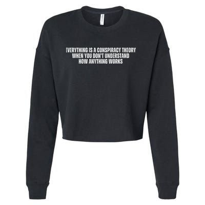 Everything Is A Conspiracy Theory When You Dont Understand How Anything Works Cropped Pullover Crew