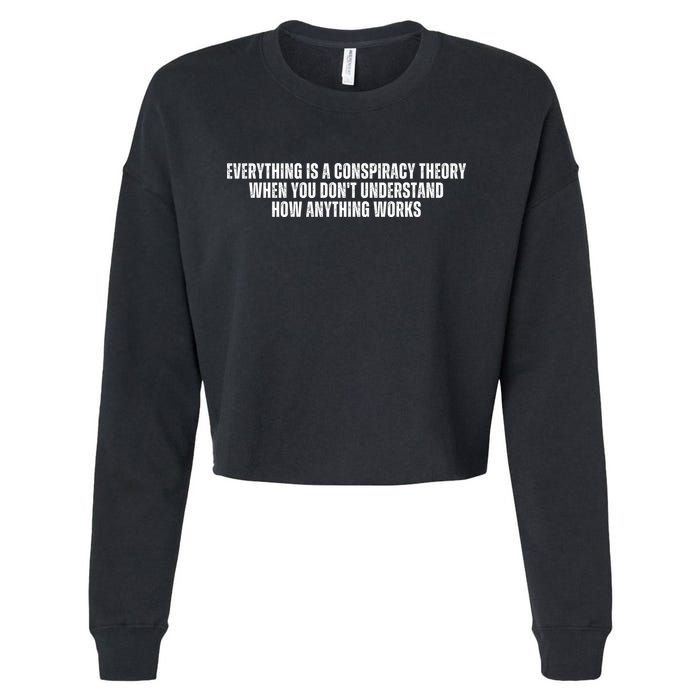 Everything Is A Conspiracy Theory When You Dont Understand How Anything Works Cropped Pullover Crew