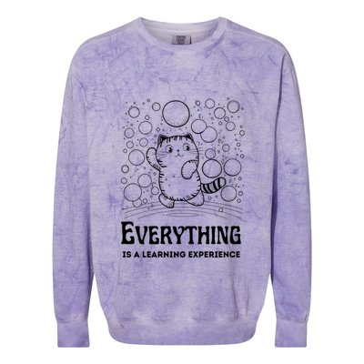 Everything Is A Learning Experience Colorblast Crewneck Sweatshirt