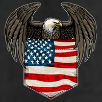 Eagle In American USA Flag Pocket 7 Panel Mesh Trucker Snapback Hat