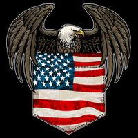 Eagle In American USA Flag Pocket Backpack