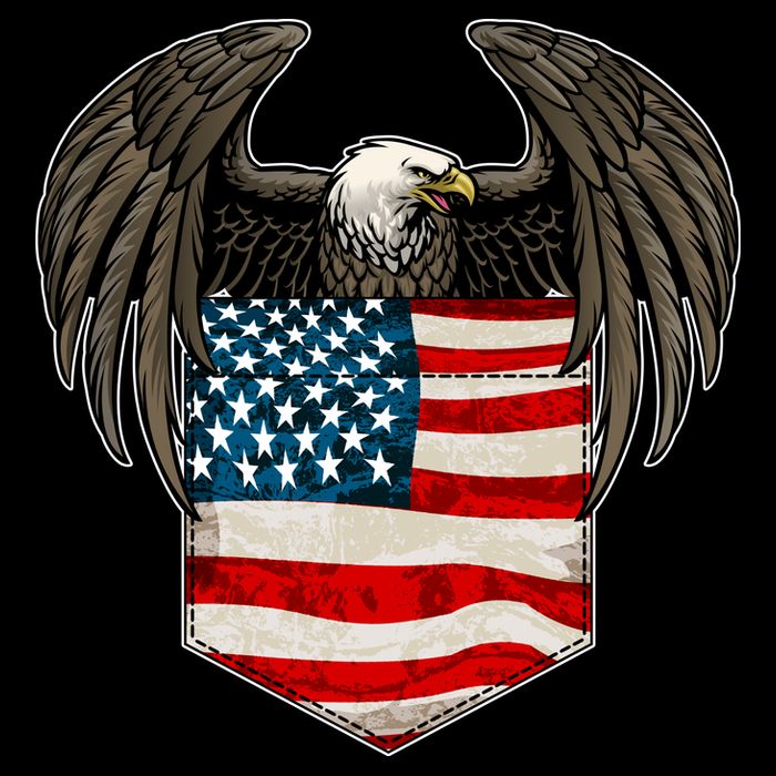 Eagle In American USA Flag Pocket Backpack