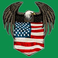Eagle In American USA Flag Pocket Sweatshirt