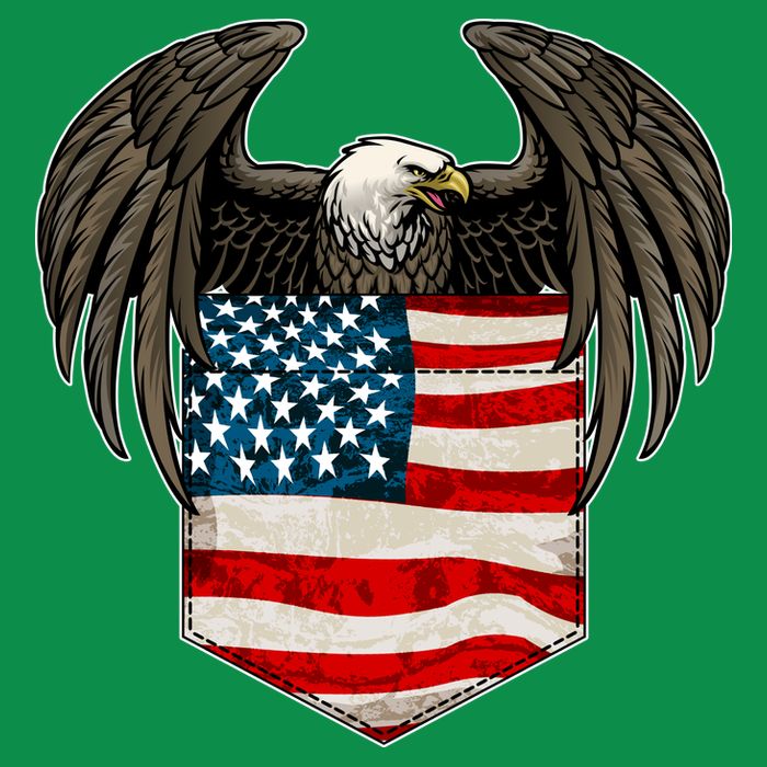 Eagle In American USA Flag Pocket Sweatshirt