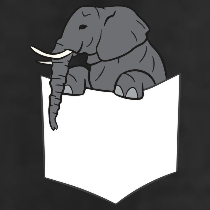 Elephant In A Pocket Funny Pocket Elephant Adult Drive Performance Visor