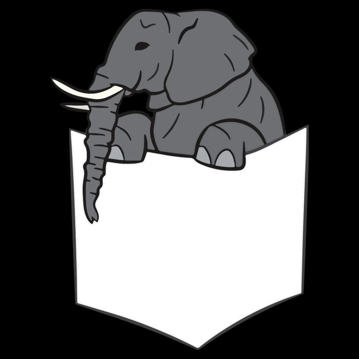 Elephant In A Pocket Funny Pocket Elephant Cropped Pullover Crew