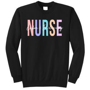 Everyday Is A Birthday Party L&D Nurse, LD Delivery Sweatshirt