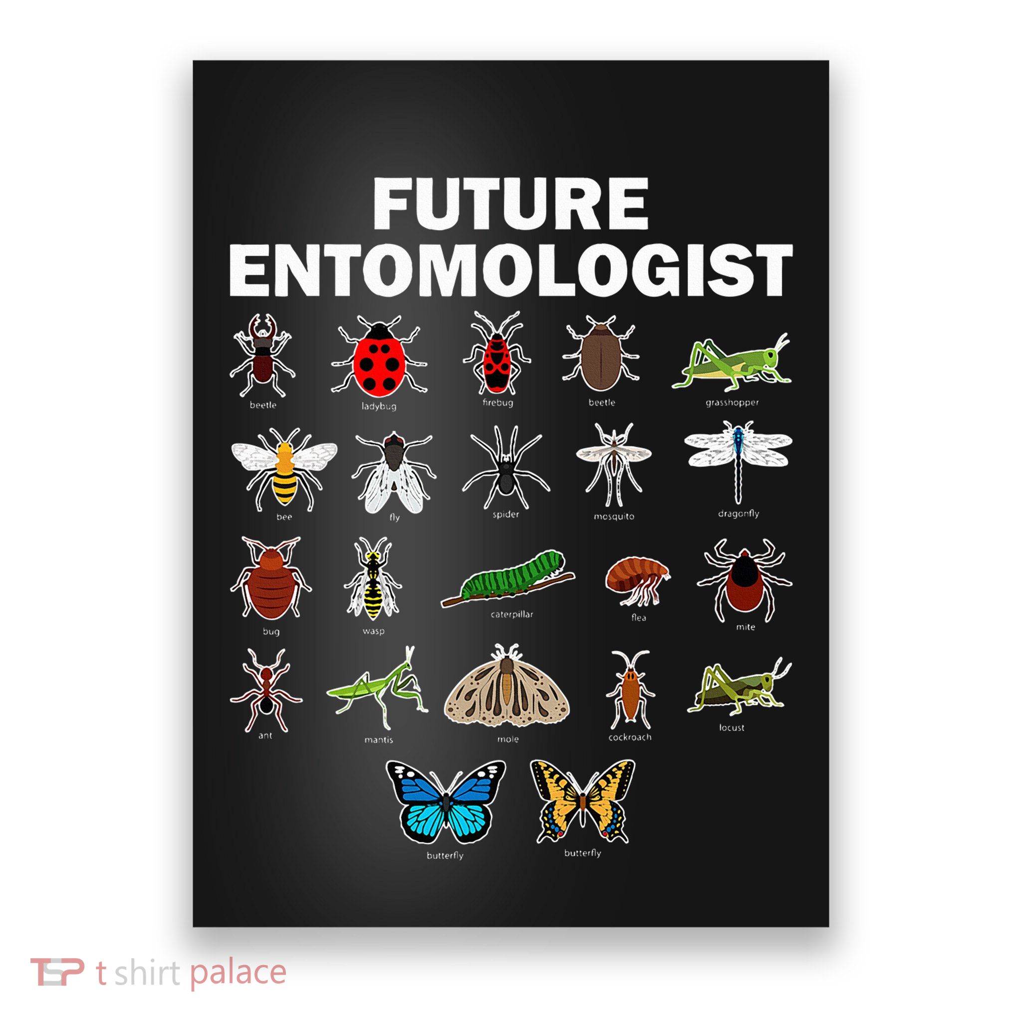 Entomology Insect Bug Lover Poster