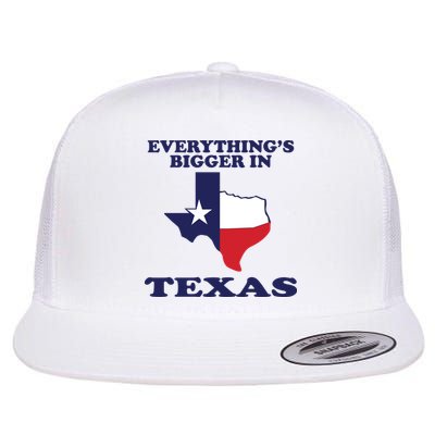 EVERYTHING IS BIGGER IN TEXAS Funny Flatbill Hat