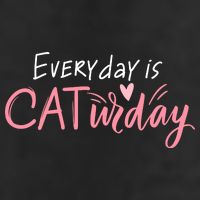 Everyday Is Caturday Cat Lover 7 Panel Mesh Trucker Snapback Hat