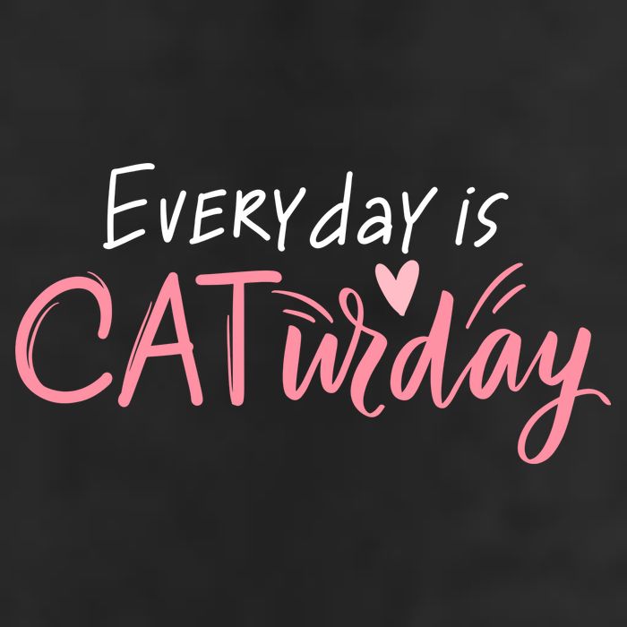 Everyday Is Caturday Cat Lover 7 Panel Mesh Trucker Snapback Hat