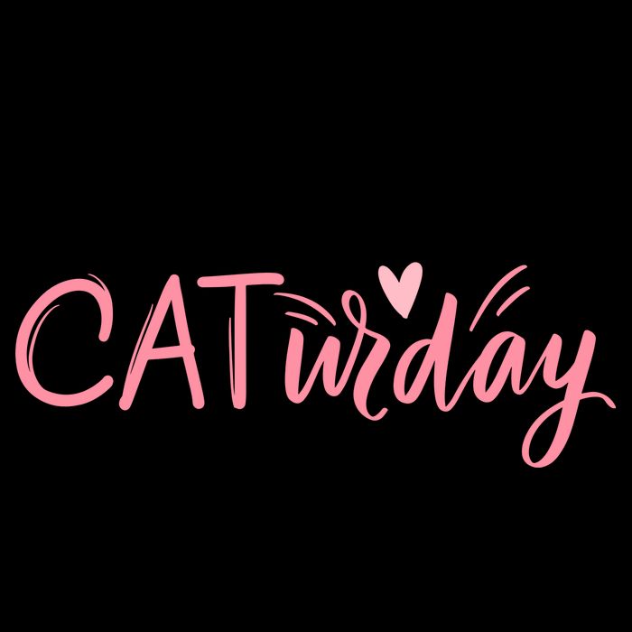 Everyday Is Caturday Cat Lover Mug