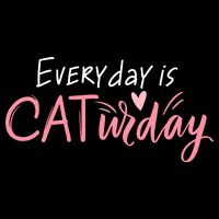 Everyday Is Caturday Cat Lover 16 in Basic Backpack