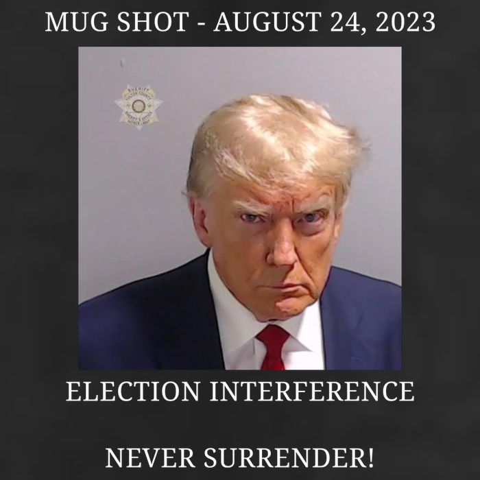 Election Interference Donald Trump Mugshot 7 Panel Mesh Trucker Snapback Hat