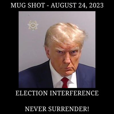 Election Interference Donald Trump Mugshot T-Shirt