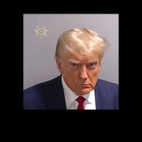 Election Interference Donald Trump Mugshot Mug