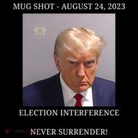 Election Interference Donald Trump Mugshot Premium T-Shirt
