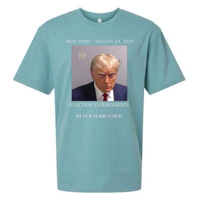 Election Interference Donald Trump Mugshot Sueded Cloud Jersey T-Shirt