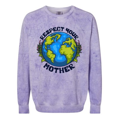 Everyday Is Earth Day Celebrate Earth Day Environtal Meaningful Gift Colorblast Crewneck Sweatshirt