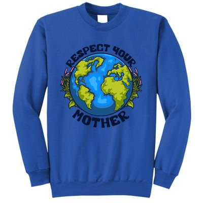 Everyday Is Earth Day Celebrate Earth Day Environtal Meaningful Gift Sweatshirt