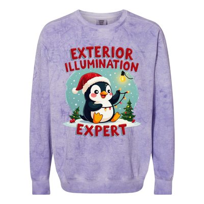 Exterior Illumination Expert Christmas Lights Kawaii Penguin Colorblast Crewneck Sweatshirt