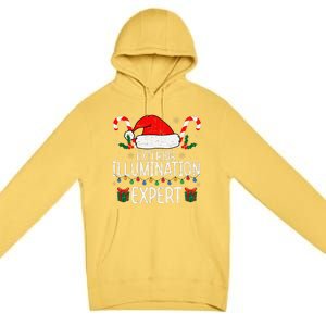 Exterior Illumination Expert Christmas Light Decorator Xmas Premium Pullover Hoodie