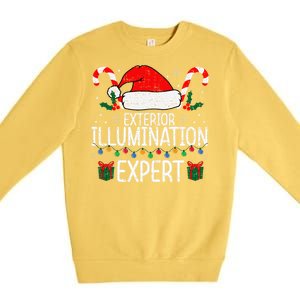 Exterior Illumination Expert Christmas Light Decorator Xmas Premium Crewneck Sweatshirt