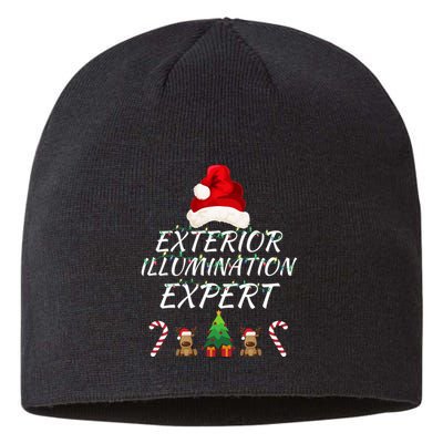 Exterior Illumination Expert Christmas Light Decorator Funny Illumination Expert Sustainable Beanie