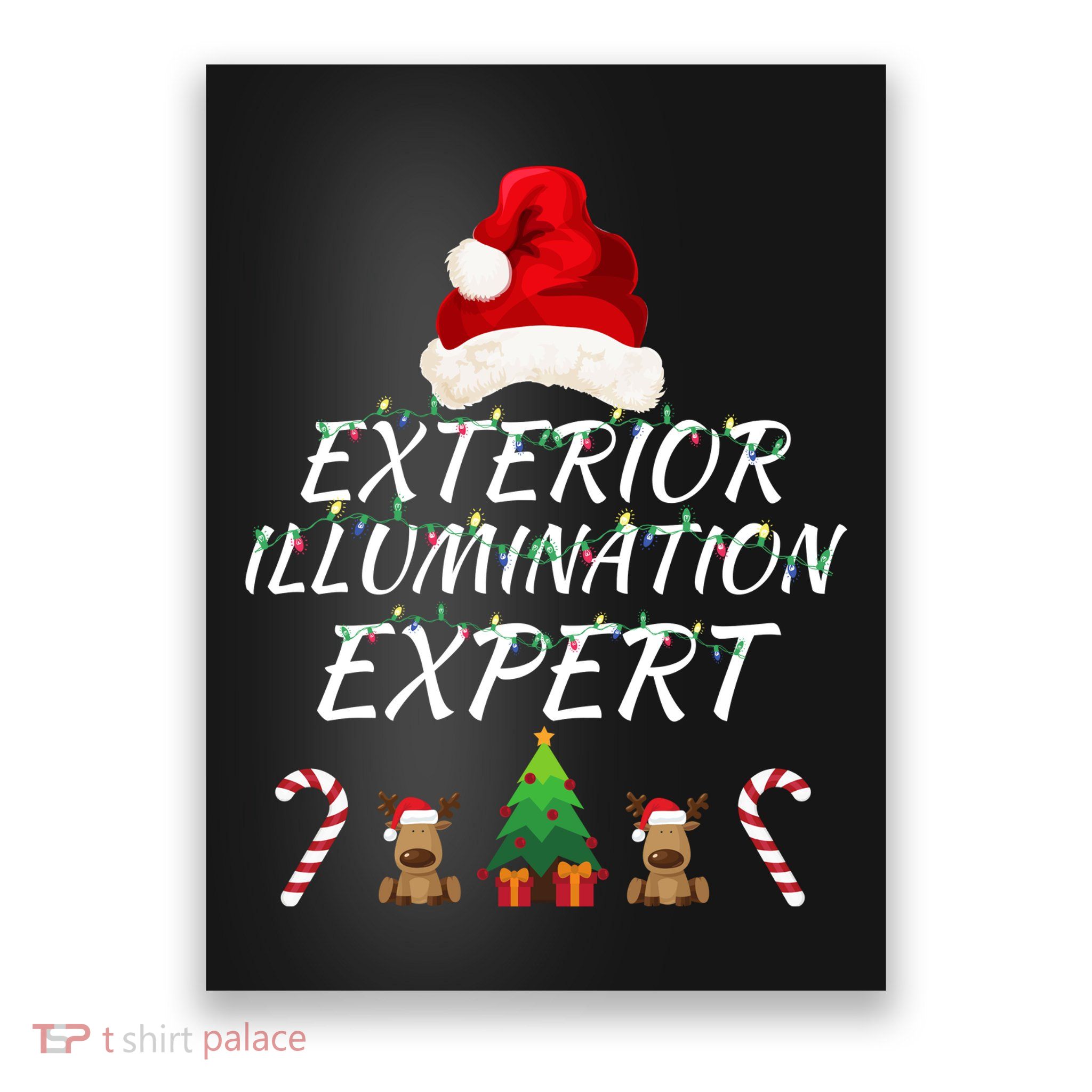 Exterior Illumination Expert Christmas Light Decorator Funny Illumination Expert Poster
