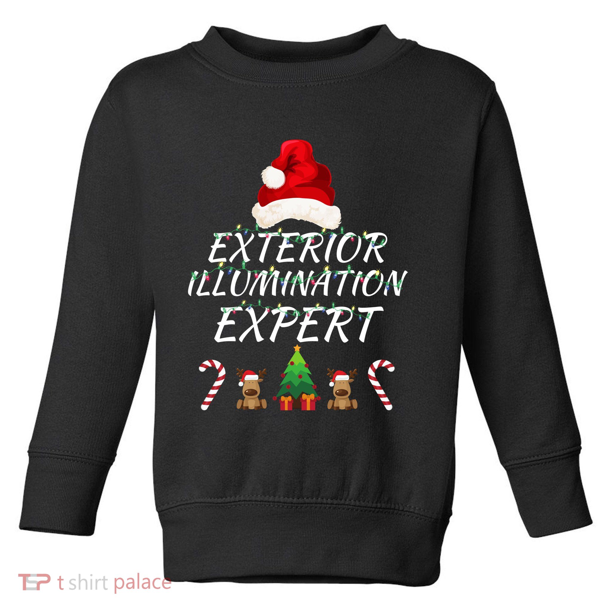 Exterior Illumination Expert Christmas Light Decorator Funny Illumination Expert Toddler Sweatshirt