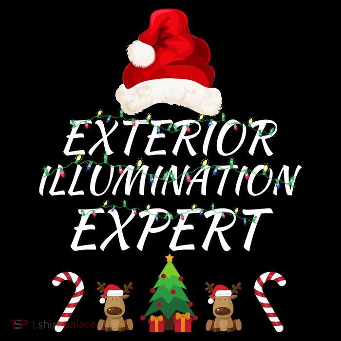 Exterior Illumination Expert Christmas Light Decorator Funny Illumination Expert Womens T-Shirt