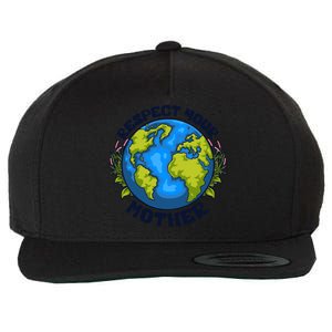 Everyday Is Earth Day Celebrate Earth Day Environtal Great Gift Wool Snapback Cap