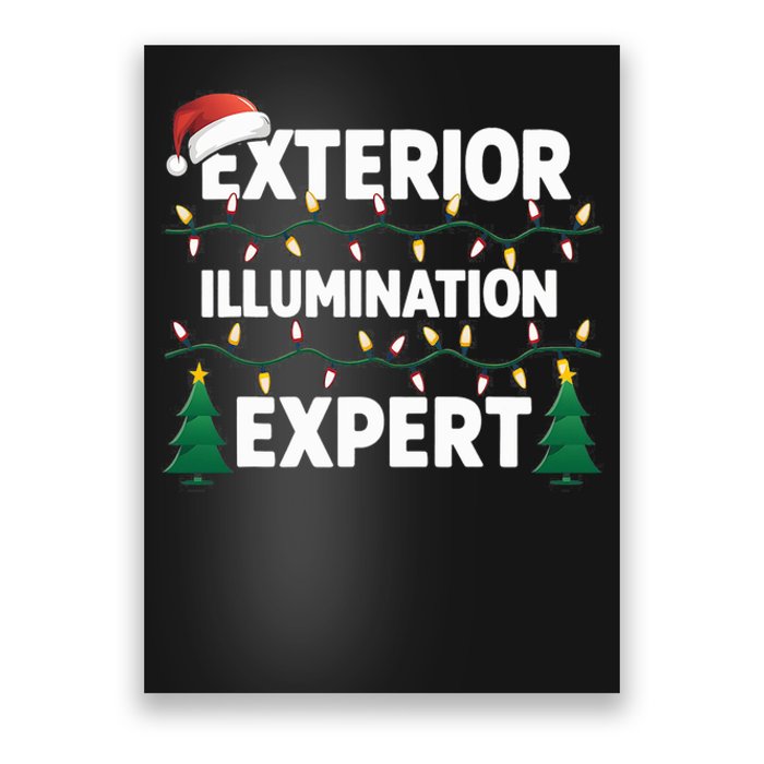 Exterior Illumination Expert Christmas Light Decorator Poster