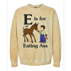 E Is For Eating Ass Funny Donkey Colorblast Crewneck Sweatshirt