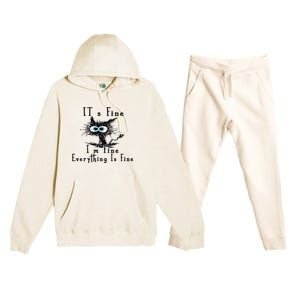 Everything Is Fine Its Fine Im Fine Cat Funny Premium Hooded Sweatsuit Set