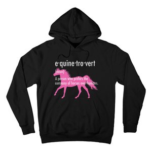 Equine Introvert Gift Funny Horse Lover Hoodie