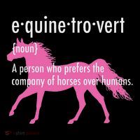 Equine Introvert Gift Funny Horse Lover T-Shirt